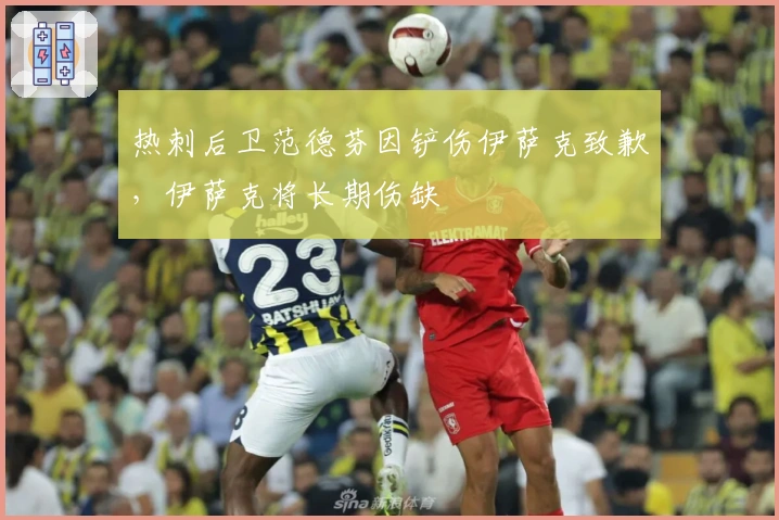 热刺后卫范德芬因铲伤伊萨克致歉，伊萨克将长期伤缺