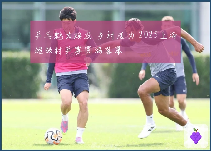 乒乓魅力焕发 乡村活力 2025上海超级村乒赛圆满落幕